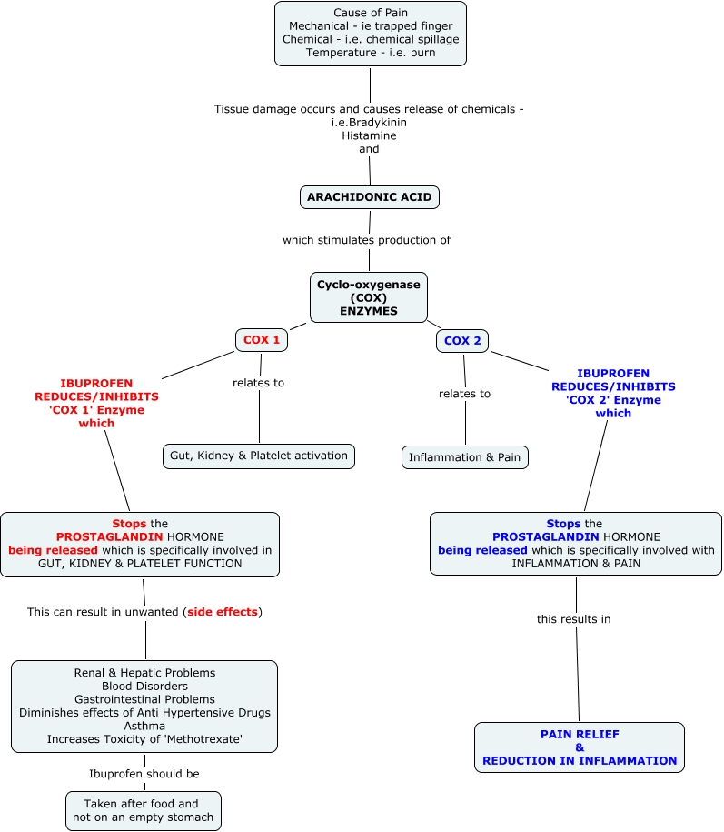 ibuprofen-and-the-pain-pathway-how-does-ibuprofen-act-on-the-pain-pathway